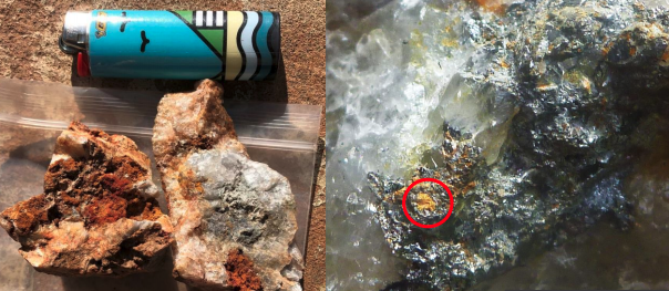 Core Lithium finds high-grade gold in NT – Australian Mining